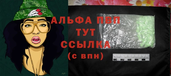 спиды Богданович