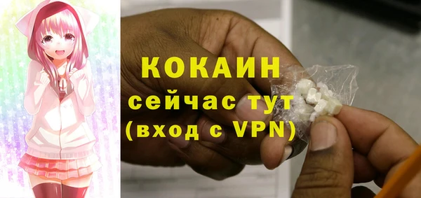 таблы Бородино