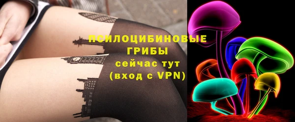 прущие грибы Бугульма