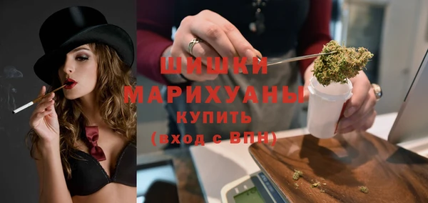 крисы Туринск