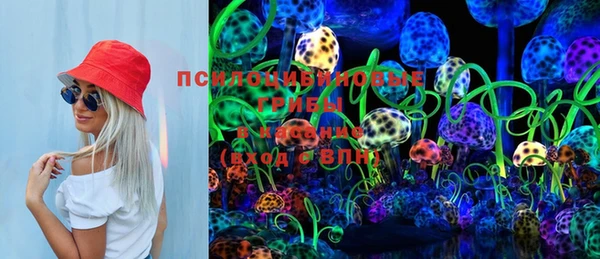 спиды Богданович