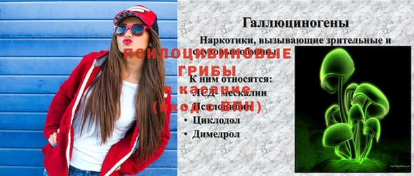 спиды Богданович