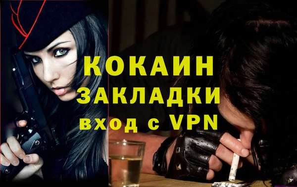 спиды Богданович