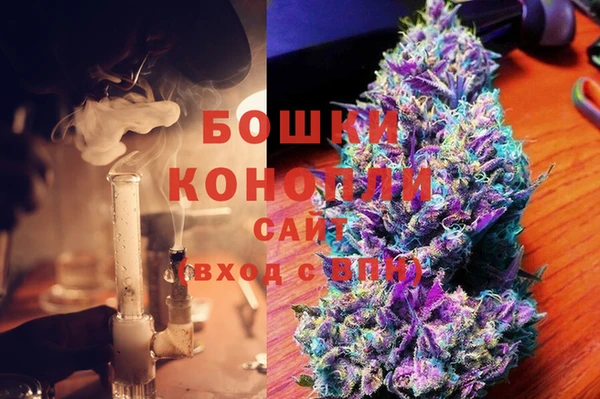 спиды Богданович