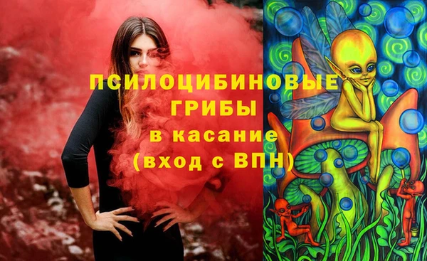 дурь Богородск