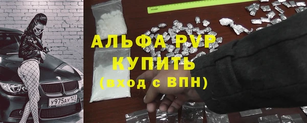 спиды Богданович