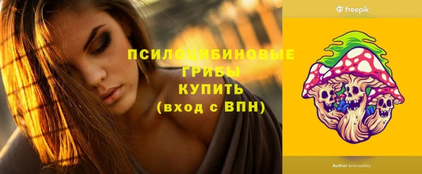 герыч Бронницы